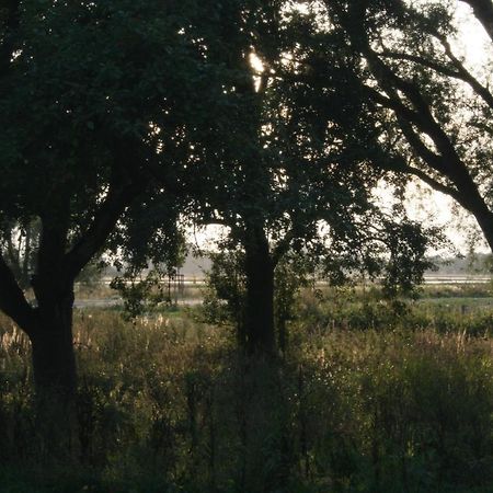Landhaus An Der Wiek Poseritz Eksteriør bilde
