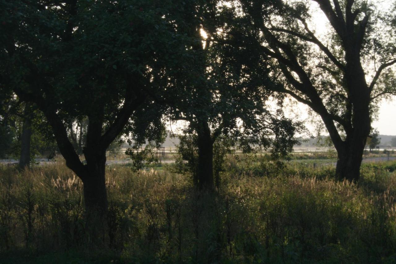 Landhaus An Der Wiek Poseritz Eksteriør bilde